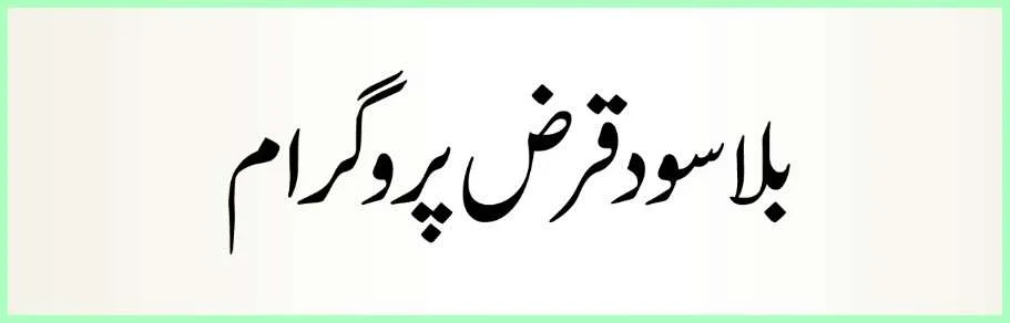 Top-3-Welfare-Organizations-In-Pakistan-To-Get-Small-Business-Loan-In-Pakistan