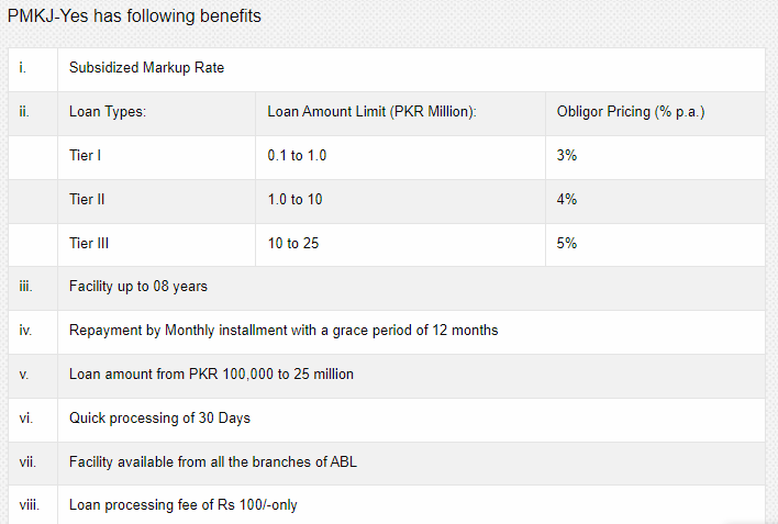 youth-entrepreneurship-scheme-benefits