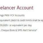 Dubai Islamic Bank Freelancer Account Benefits