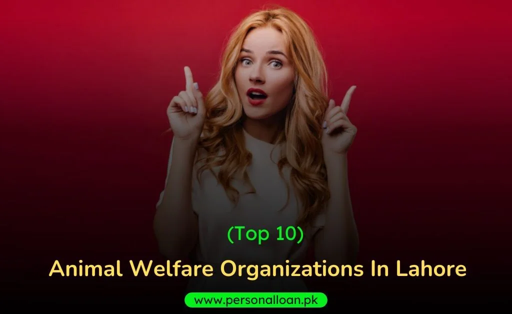 Animal-Welfare-Organizations