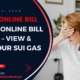 SNGPL-Online-Bill-Check-View-&-Pay