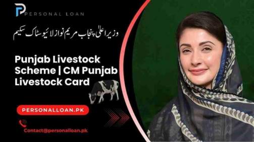 CM-Punjab-Livestock-Scheme-Apply