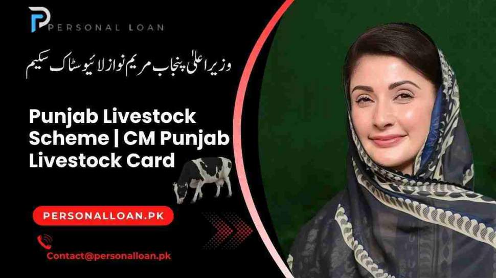 Home 35 CM-Punjab-Livestock-Scheme-Apply