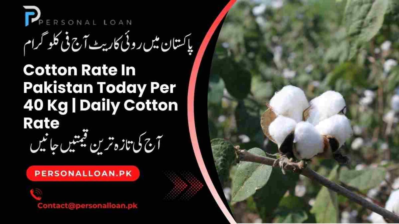 Cotton-Rate-In-Pakistan