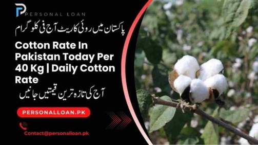 Cotton-Rate-In-Pakistan