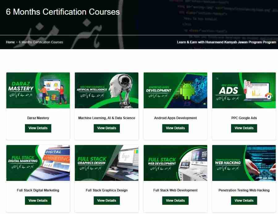 Hunarmand-Punjab-6-Month-Courses