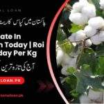 Kapas-Rate-In-Pakistan