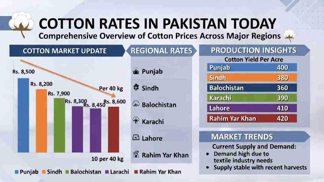 Cotton Rate In Pakistan Today Per 40 Kg | Daily Cotton Rate 2 Roi-Rate-Today-Per-Kg