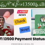 BISP-13500-Payment-Status-Check