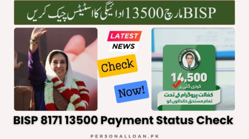 BISP-13500-Payment-Status-Check
