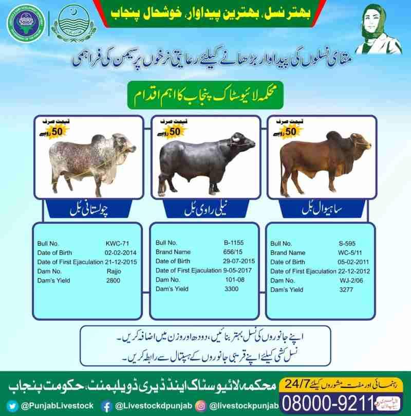 CM-Punjab-Livestock-Card-Phase-2-Online-Apply