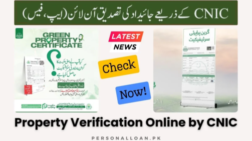 Property-Verification-Online-by-CNIC