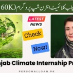 Punjab-Climate-Internship-Program