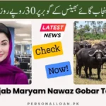 CM-Punjab-Maryam-Nawaz-Gobar-Tax