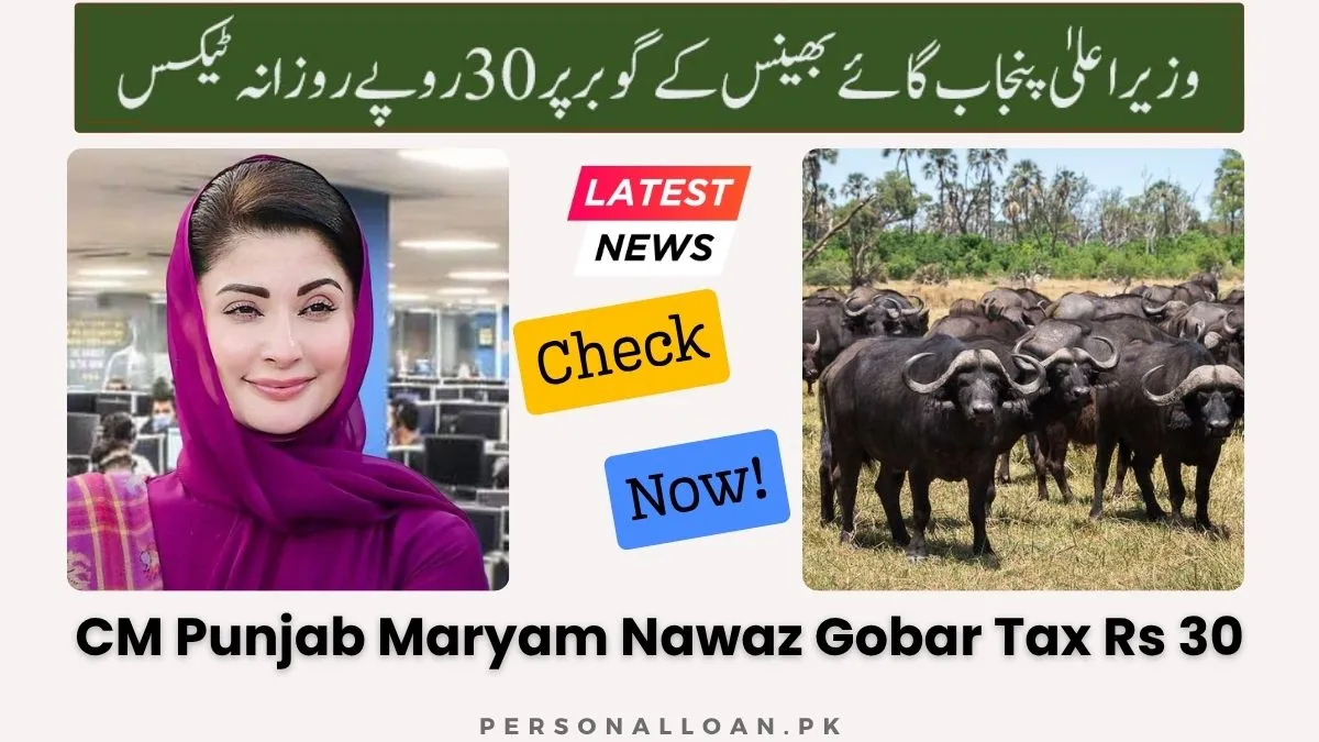 Gobar Tax (By CM Punjab Rs 30 Per Day) | Cow Buffalo Dung Tax 1 CM-Punjab-Maryam-Nawaz-Gobar-Tax