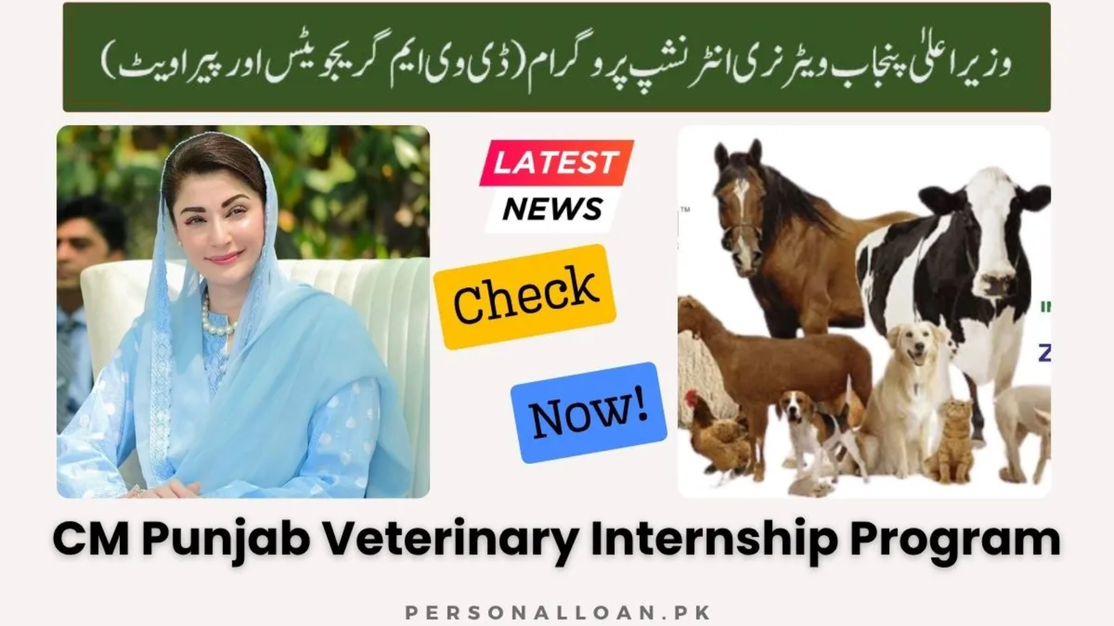 CM-Punjab-Veterinary-Internship-Program
