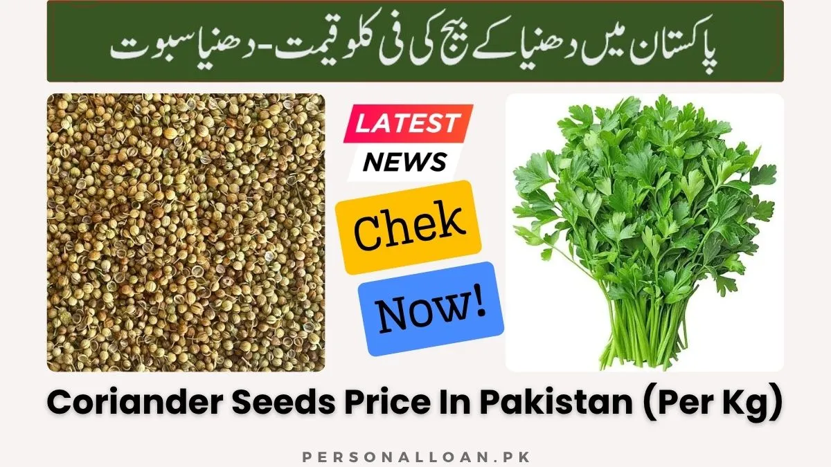 Coriander-Seeds-Price-In-Pakistan