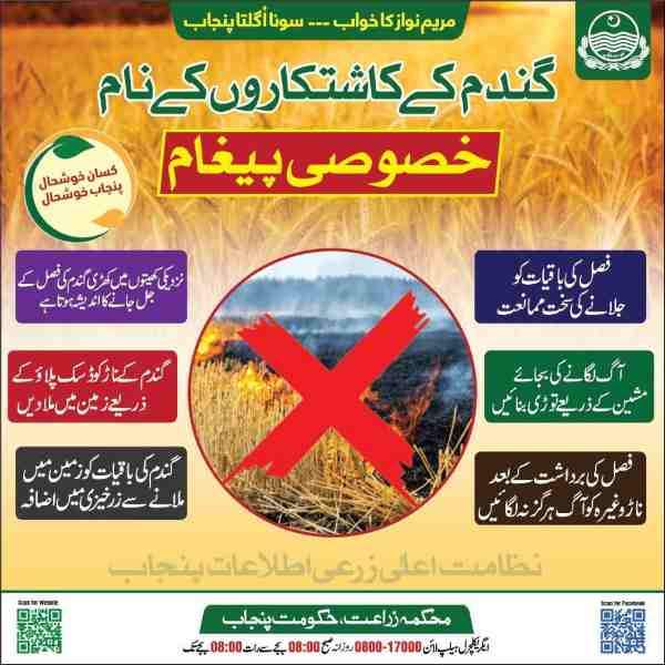 Govt-Wheat-Rate-per-40-kg