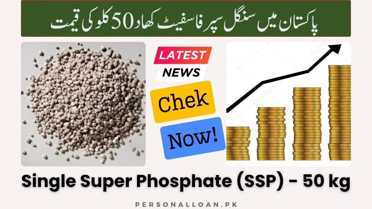 Single-Super-Phosphate-SSP-50kg-Price