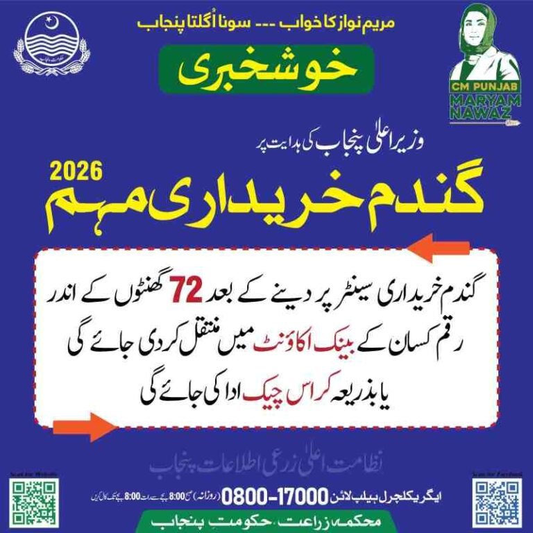 40 Kg Wheat Price In Pakistan Today (Wheat Rate Per 40KG)