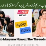 CM-Punjab-Maryam-Nawaz-She-Threads-Program-PKR-15K-Month