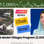 CM-Punjab-Model-Villages-Program