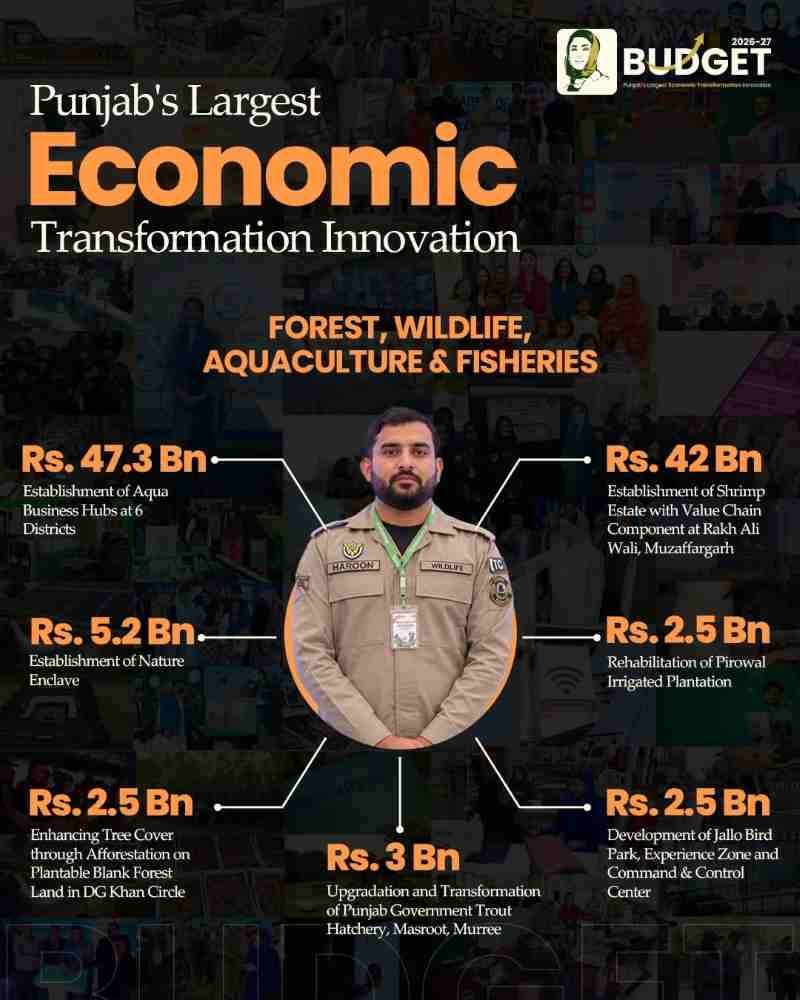 Punjab-Economic-Budget