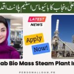 CM-Punjab-Bio-Mass-Steam-Plant-Initiative