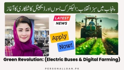 Green-Revolution-In-Punjab
