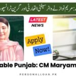 Sustainable -Punjab -Maryam -Nawaz -Water -Safety -Authority